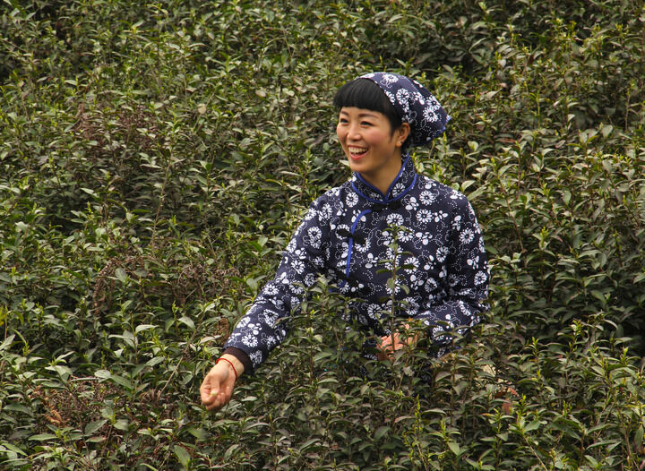 蛇蝎美人演变